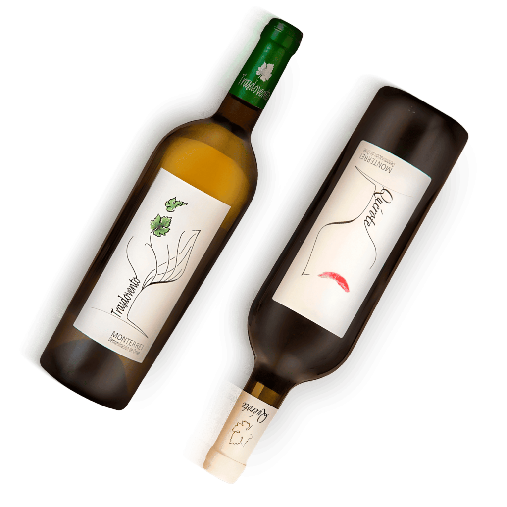 botellas de vino gallego