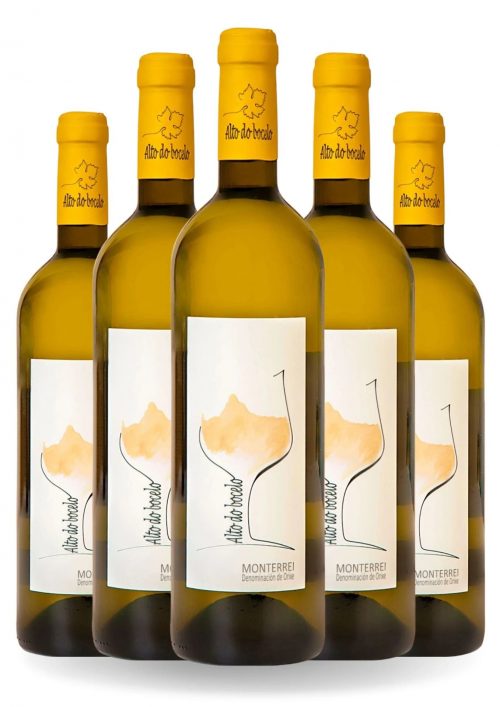 Caja 12 botellas Alto do Bocelo 2023