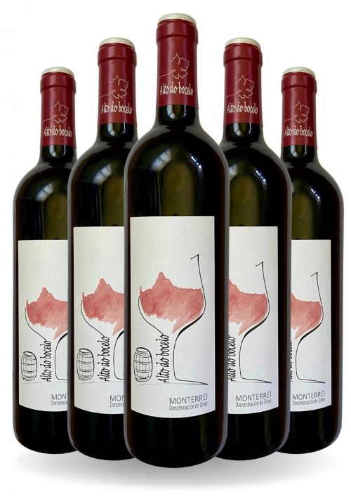 Caja 12 botellas Alto do Bocelo Barrica 2019