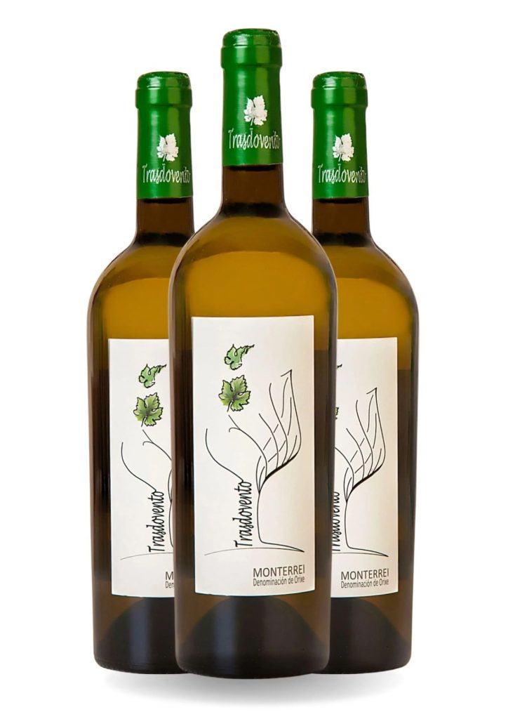 Caja 6 botellas Trasdovento 2023