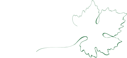 Logo Bodega trasdovento